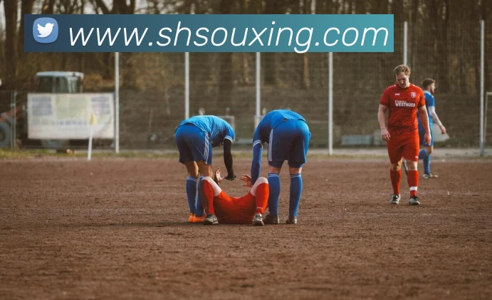 世界杯开户平台平台生态图